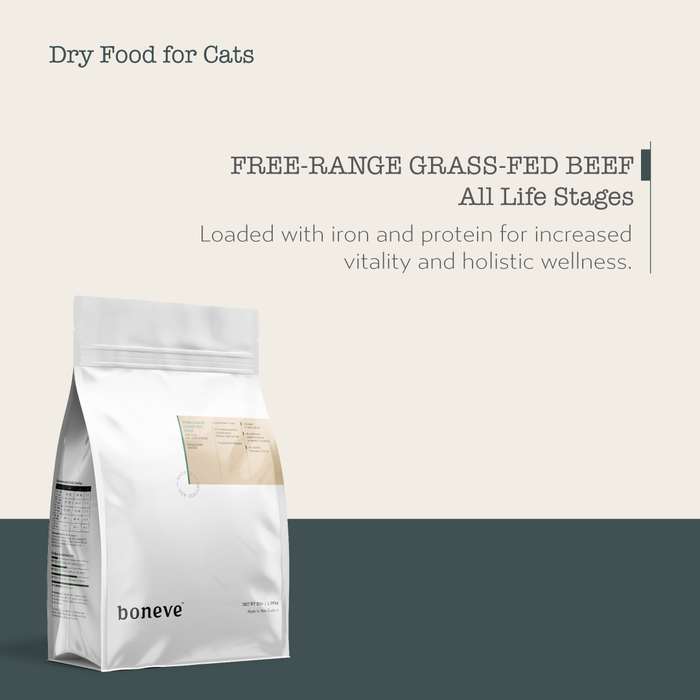 20% OFF: Earthmade By Boneve Grain Free Free-Range Grass Fed Beef Dry Cat Food