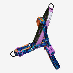 10% OFF: Zee.Dog x Reebok Trekk SofterWalk Harness