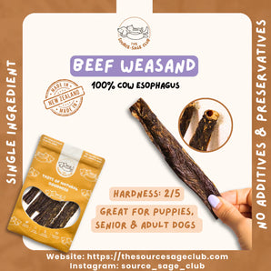 The Source-sage Club Air-Dried New Zealand Beef Weasand For Dogs