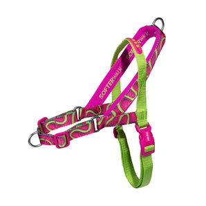10% OFF: Zee.Dog H3D Jelly Softer Walk Harness