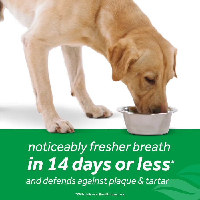 20% OFF: TropiClean Fresh Breath Dental Health Solution Plus Skin & Coat For Dogs