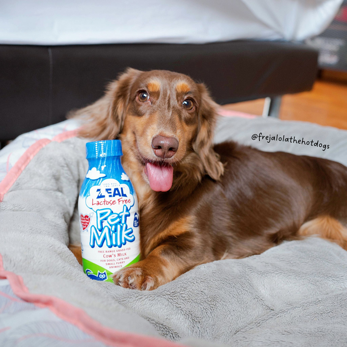 [PAWSOME BUNDLE] BUY 3 & GET 1 FREE: Zeal Lactose-Free Pet Milk