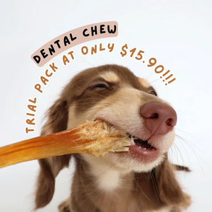 The Source-sage Dental Chew Trial Pack For Puppies (Assorted)