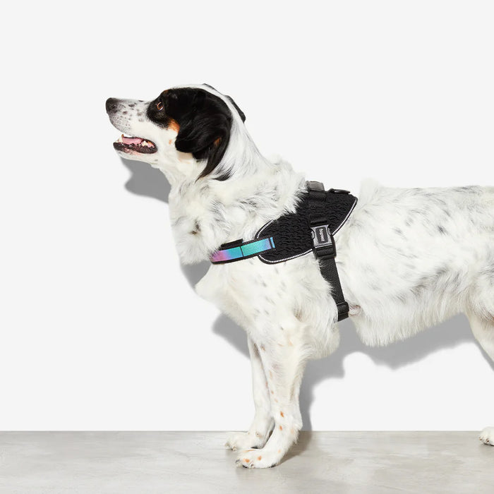 10% OFF: Zee Dog Gotham FlyHarness For Dogs