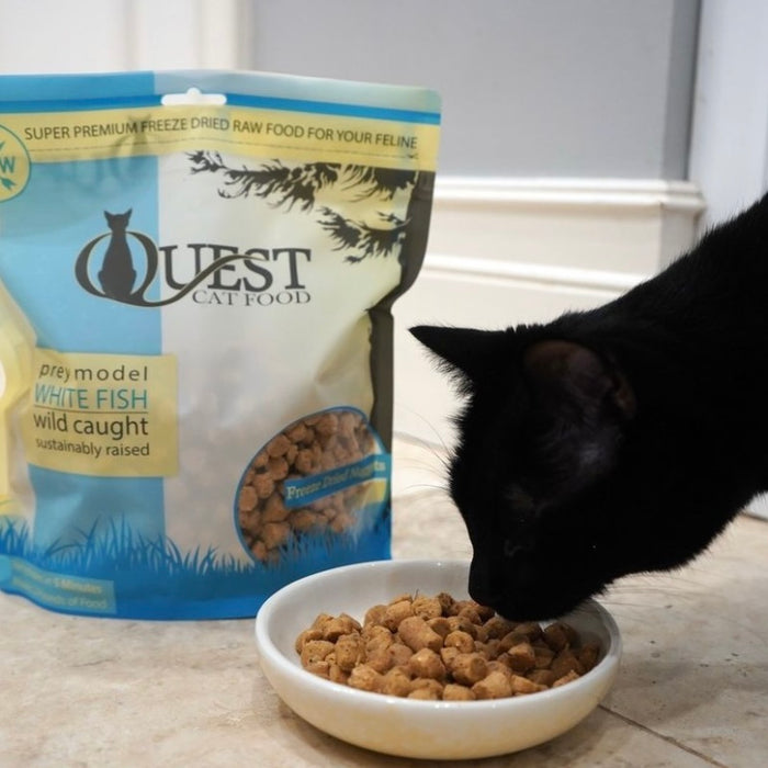 [PAWSOME BUNDLE] 3 FOR $131.10:  Steve's Real Food QUEST Freeze-Dried Raw Whitefish Diet Cat Food