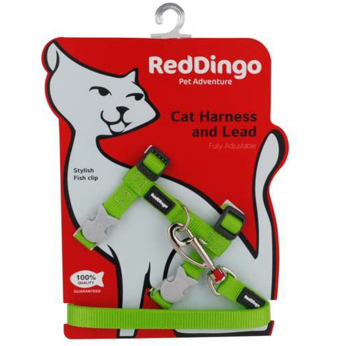 Red Dingo Classic Green Harness & Lead Combo For Cats