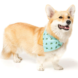 15% OFF: FuzzYard Tucson Pet Bandana