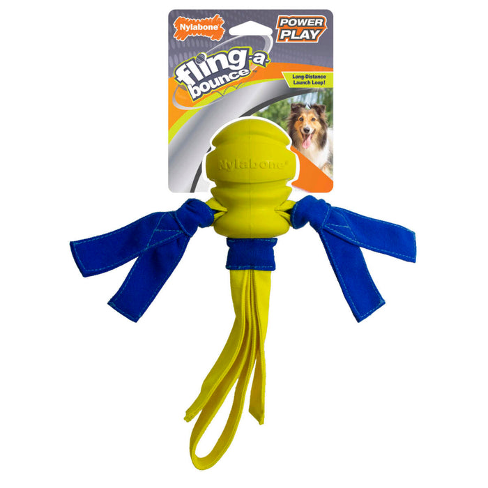 20% OFF: Nylabone Power Play Fling-a-Bounce Interactive Dog Toy