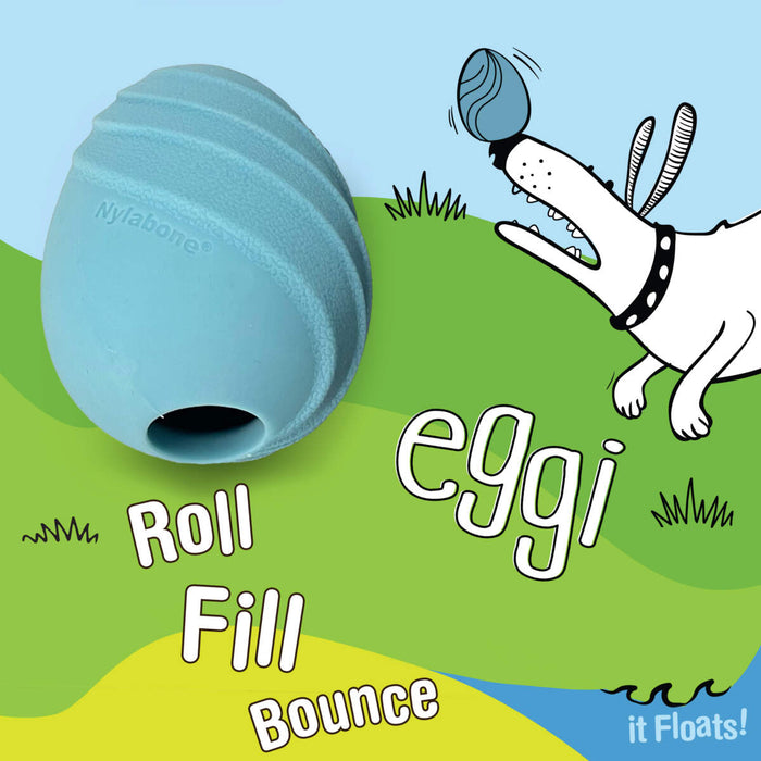 20% OFF: Nylabone Enrichment Eggi Interactive Dog Toy