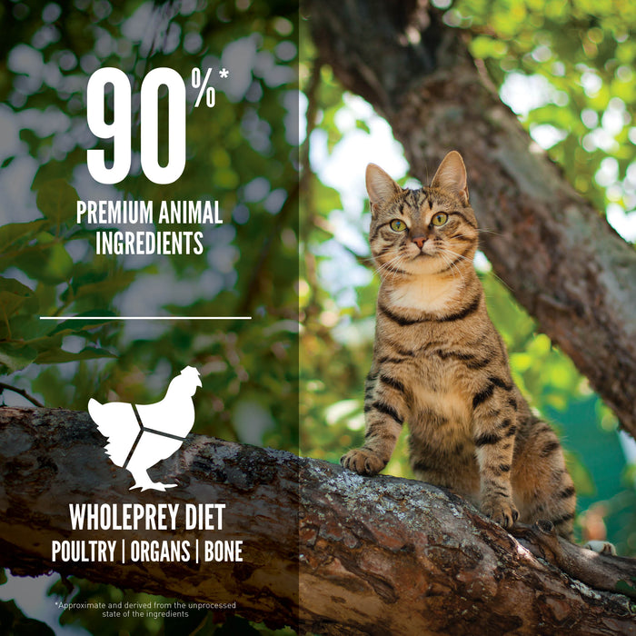 30% OFF: Orijen Guardian 8 Recipe Adult Dry Cat Food