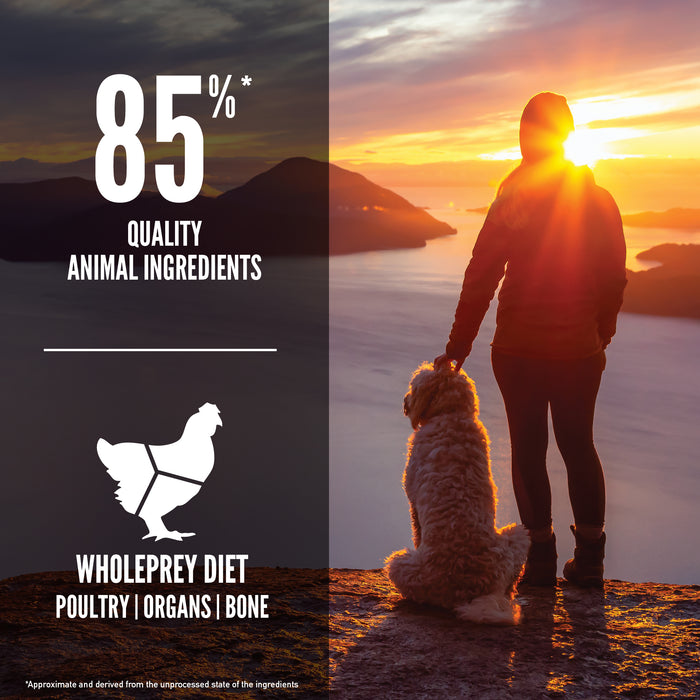 30% OFF: Orijen Senior Recipe Dry Dog Food