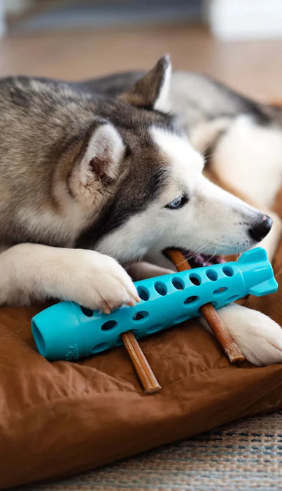 10% OFF: Messy Mutts Teal Totally Pooched Stuff'n Chew Bully + Chew Stick Treat Holder Dog Toy