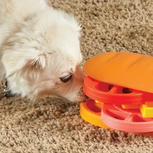 Brightkins Surprise! Treat Puzzle Dog Toy