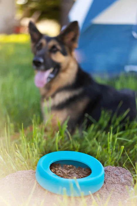 10% OFF: Messy Mutts Blue Silicone Non-Spill Travel Bowl