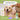 kin+kind Flea+Tick Shampoo (Lavender) For Dogs