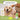 kin+kind Kin Lemongrass Flea & Tick Shampoo For Dogs & Cats