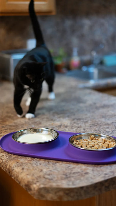 10% OFF: Messy Cats Purple Double Silicone Feeder With Stainless Steel Saucer Shaped Bowl