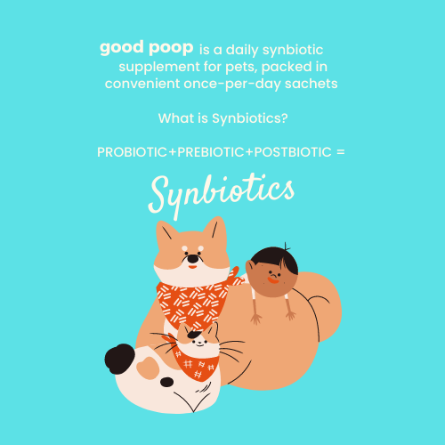 Tuck Kee Good Poop Synbiotic Box