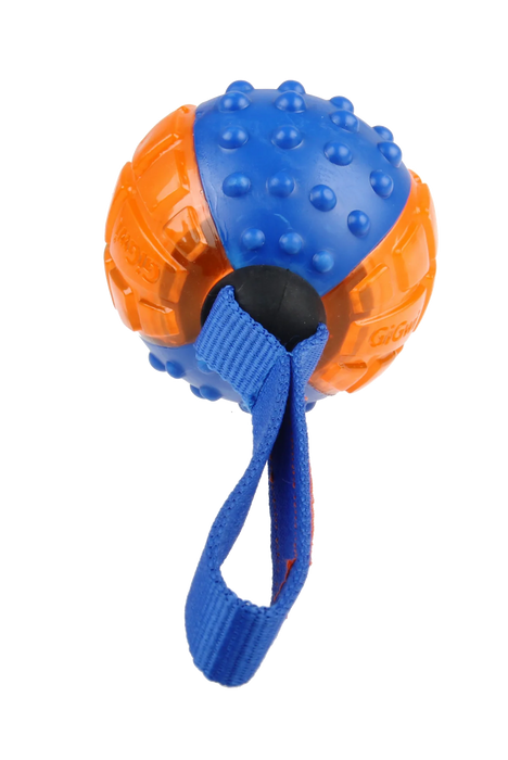 GiGwi "Push To Mute" Blue & Orange Ball Toy For Dogs