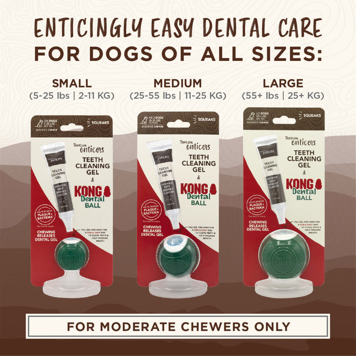 20% OFF: TropiClean Enticers Smoked Beef Brisket Flavor Teeth Cleaning Gel & Kong Dental Ball Kit For Large Dogs