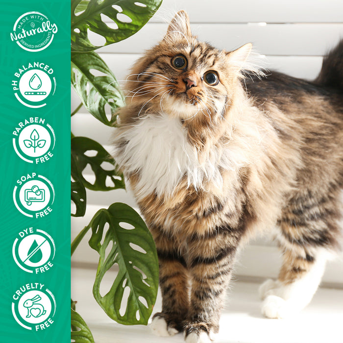 20% OFF: TropiClean Gentle Hypoallergenic Shampoo For Cats
