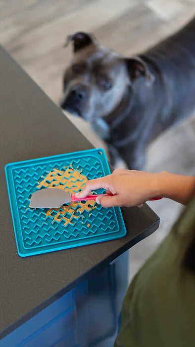 10% OFF: Messy Mutts Silicone Therapeutic Licking Mat with Silicone Spatula (Assorted)