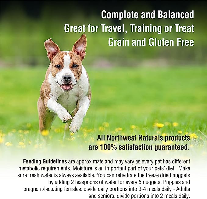 20% OFF: Northwest Naturals Freeze Dried Chicken Recipe Nuggets Raw Diet Dog Food