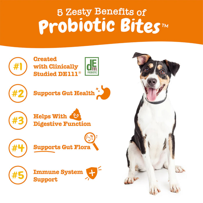 15% OFF: Zesty Paws Probiotic Bites™  (Digestive Probiotics for Gut Flora & Immune Support) Chicken Flavour Soft Chews Functional Supplement For Dogs