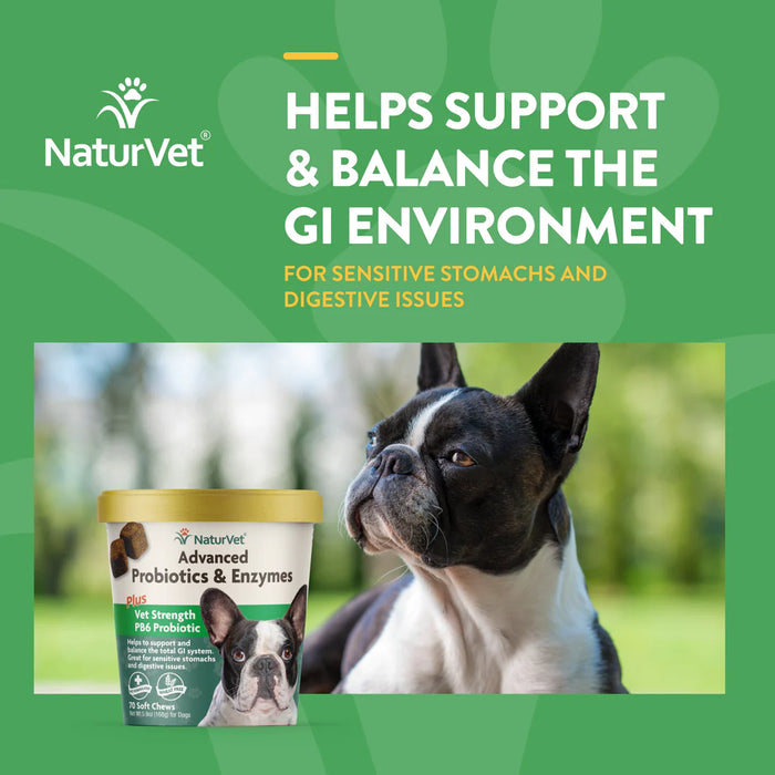 20% OFF: NaturVet Advanced Probiotics & Enzymes Soft Chew For Dogs