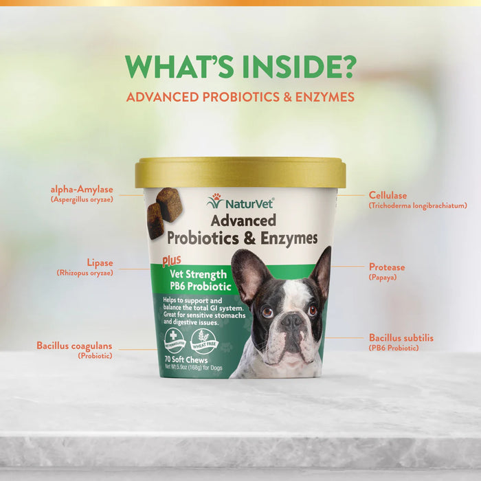20% OFF: NaturVet Advanced Probiotics & Enzymes Soft Chew For Dogs
