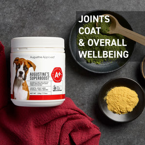 Augustine Approved Augustine’s SuperBoost for Dogs & Cats