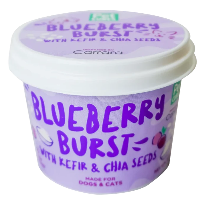 Pet Cubes Blueberry Burst Ice Cream For Dogs & Cats