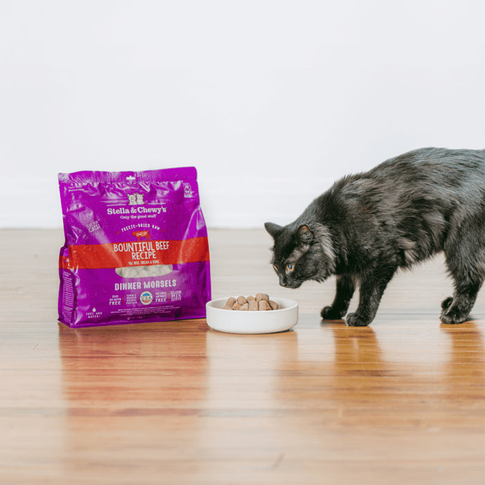 Stella & Chewy's Freeze-Dried Raw Bountiful Beef Dinner Morsels For Cats