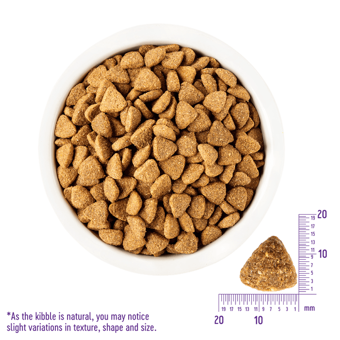 20% OFF + FREE WET FOOD: Wellness Complete Health Large Breed Adult (Deboned Chicken & Brown Rice Recipe) Dry Dog Food