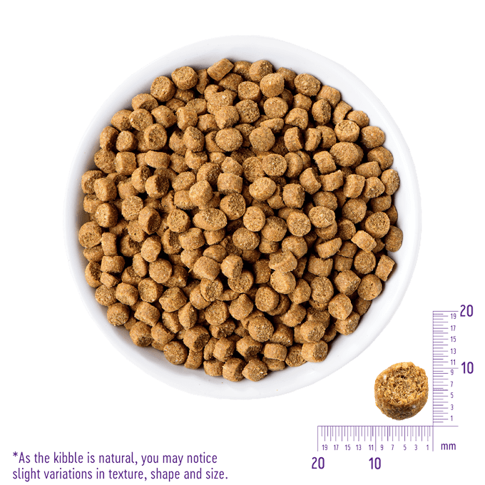 Grain free puppy wet food hotsell