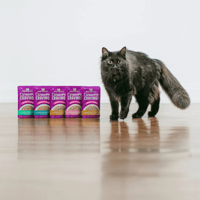 Stella & Chewy's Carnivore Cravings Morsels'N'Gravy Salmon & Tuna Recipe Pouch Wet Cat Food