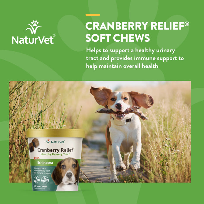 20% OFF: NaturVet Cranberry Relief® Plus Echinacea Soft Chew Cup For Dogs