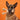 BetterBone Hard Natural Venison Chewing Toy