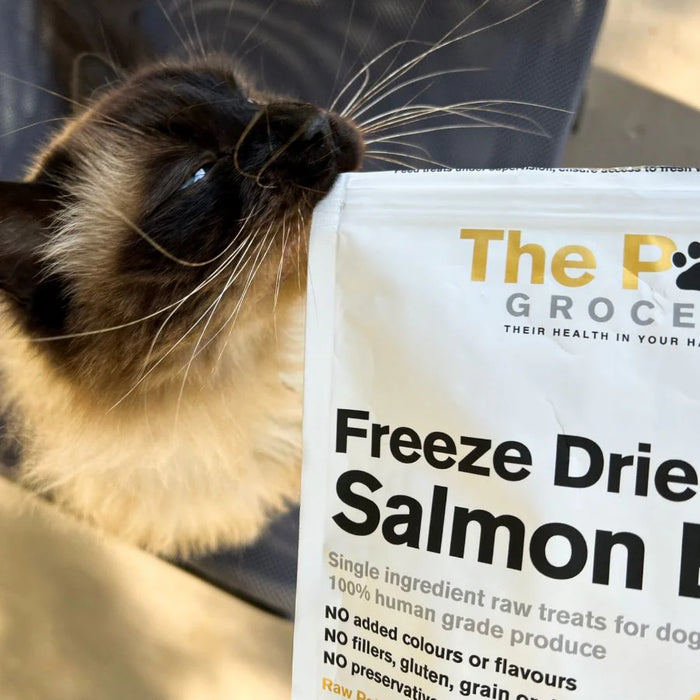 [NEW LAUNCH] 25% OFF: The Paw Grocer Black Label Freeze Dried Salmon Belly Treats For Dogs & Cats