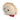 Spike! Kawaii Gyoza Plush Toy For Dogs