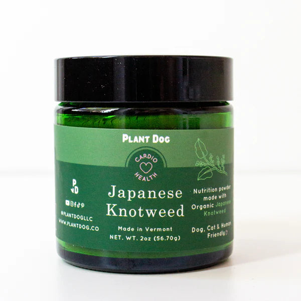 Plant Dog Japanese Knotweed Powder For Dogs