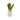 Spike! Kawaii Leek Plush Toy For Dogs
