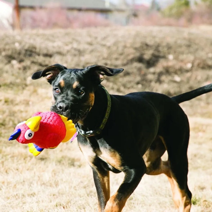 20% OFF: Kong® Wiggi Parrot Dog Toy
