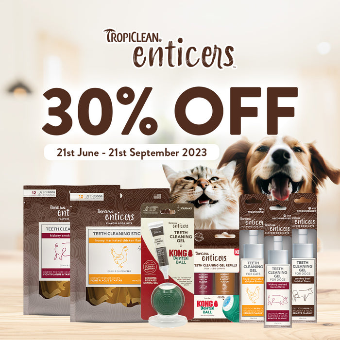 20% OFF: TropiClean Enticers Smoked Beef Brisket Flavor Teeth Cleaning Gel & Kong Dental Ball Kit For Small Dogs