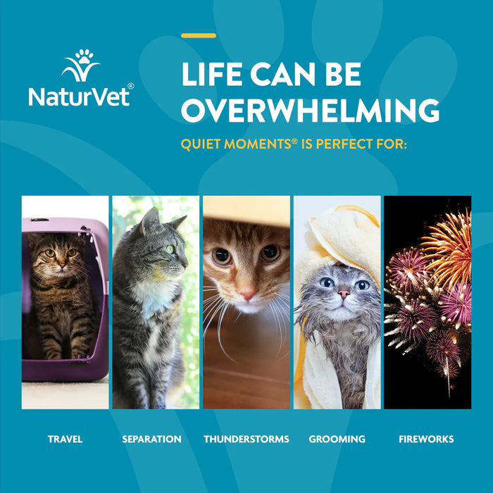 20% OFF: NaturVet Scoopables Quiet Moments Calming Aid + Melatonin For Cats