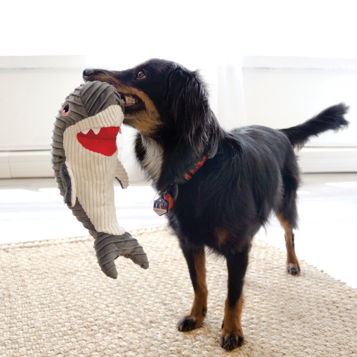20% OFF: Kong® CuteSeas Rufflez Shark Dog Toy
