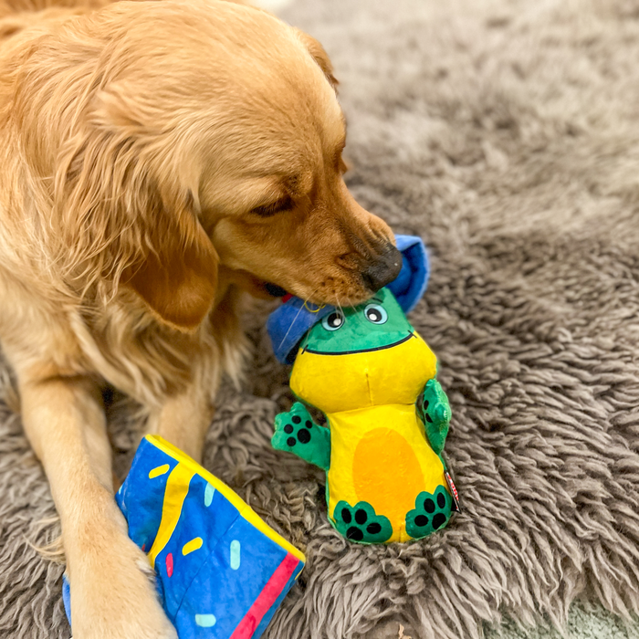 20% OFF: Kong® Puzzlements™ Surprise Present Dog Toy