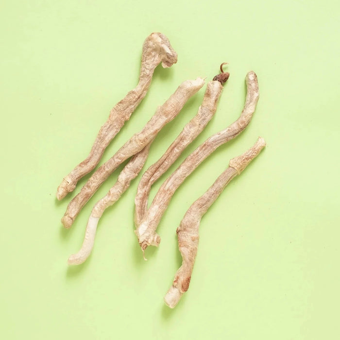WildChow Freeze Dried Lamb Pizzle Sticks Treats For Dogs