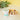 WildChow Freeze-Dried Rojak Treats For Dogs & Cats