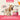 Holuah! Freeze-Dried Raw Salmon Dog Food